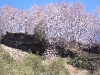 qua Rocca20100328 036